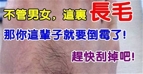 背後長毛|不管男女，這裡長毛，那你這輩子就倒霉了！